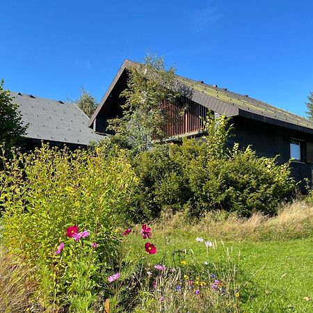 Holiday Home Rechbergblick - Beu302 By Interhome Bernau im Schwarzwald Extérieur photo