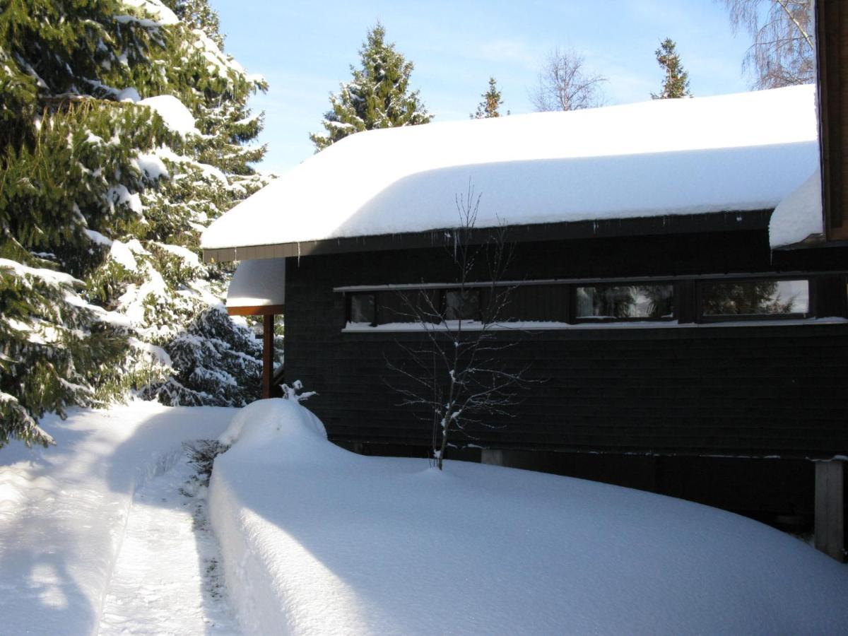 Holiday Home Rechbergblick - Beu302 By Interhome Bernau im Schwarzwald Extérieur photo